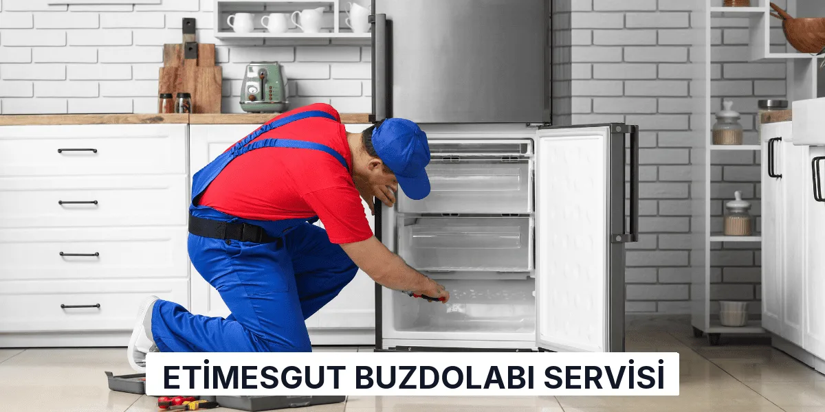 Etimesgut Buzdolabı Servisi