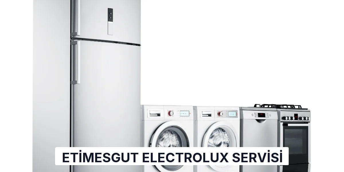 Etimesgut Electrolux Servisi