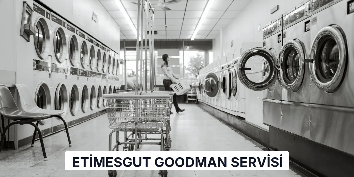 Etimesgut Goodman Servisi