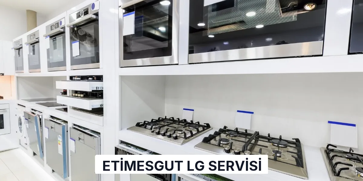 Etimesgut LG Servisi
