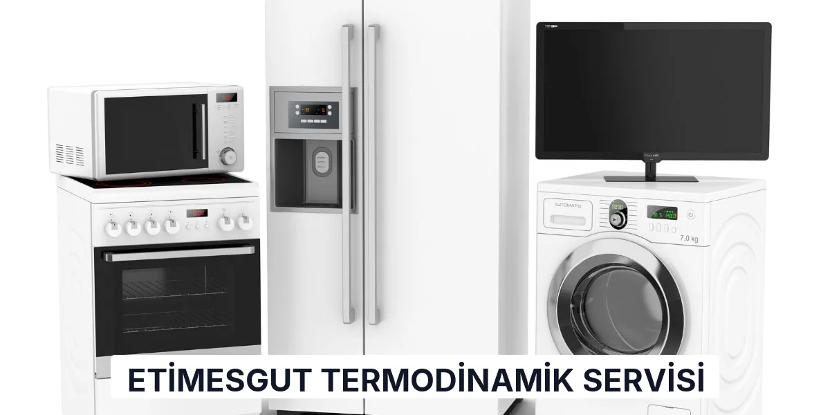 Etimesgut Termodinamik Servisi