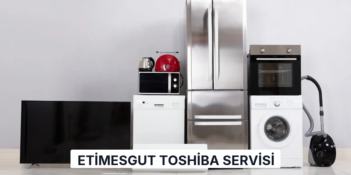 Etimesgut Toshiba Servisi