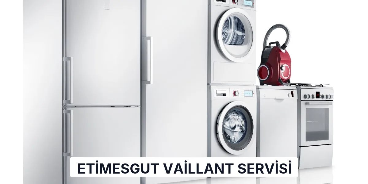 Etimesgut Vaillant Servisi